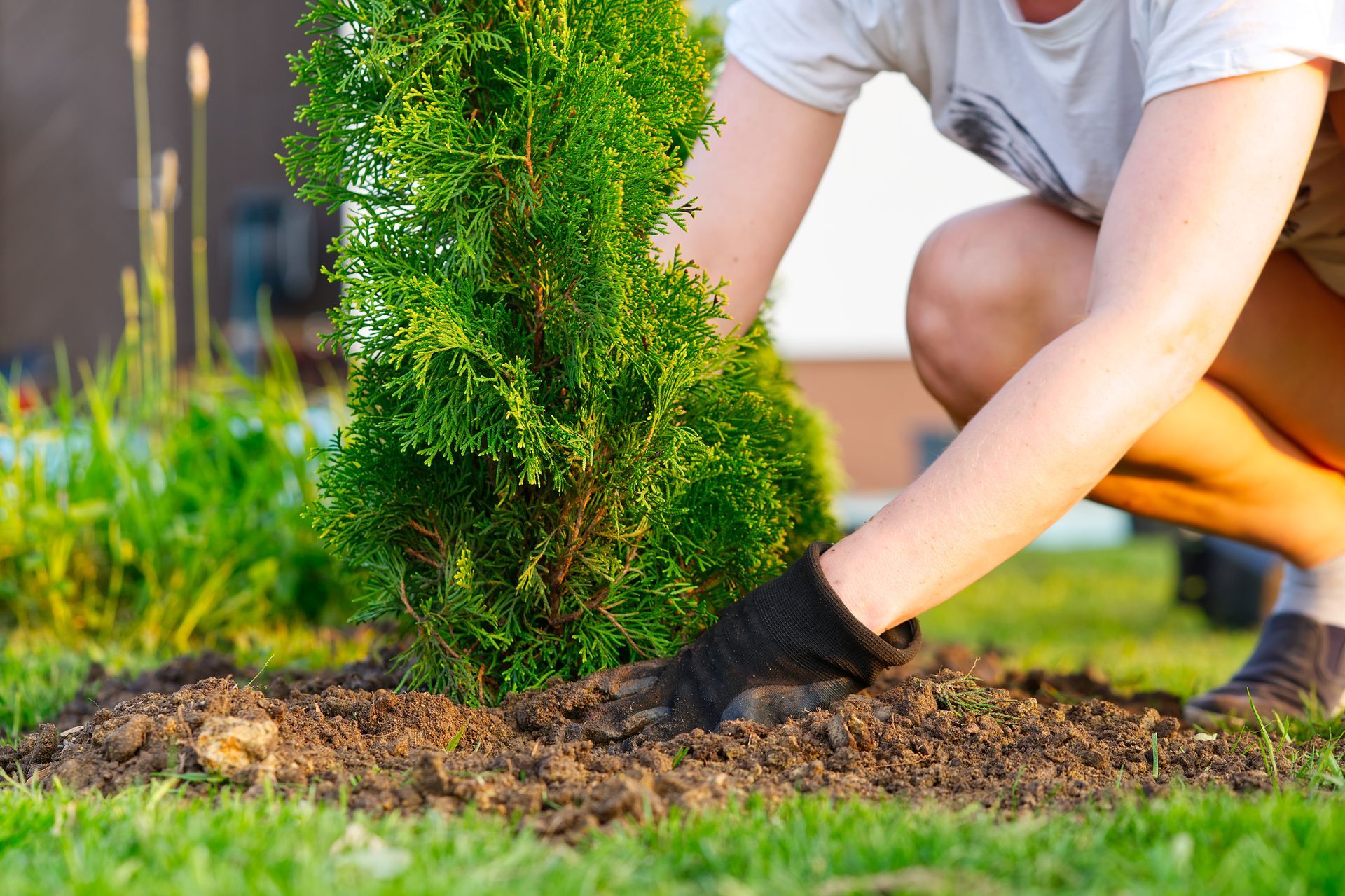 Tree Masters LLC. Top-Quality Tree Trimming, Removal, Stump Grinding - Serving All Ocean County