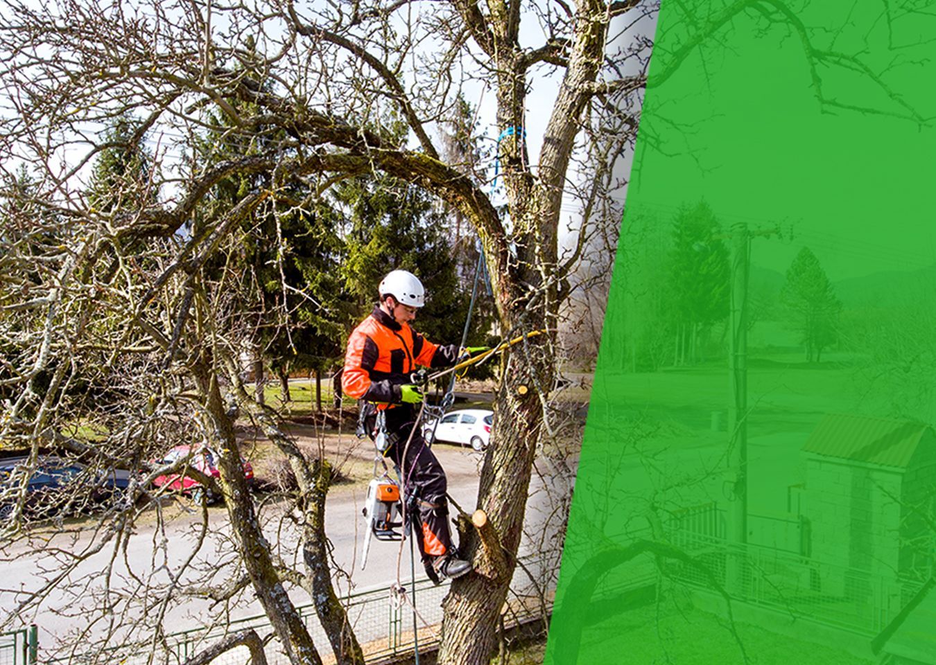 a man is climbing a tree with a chainsaw .