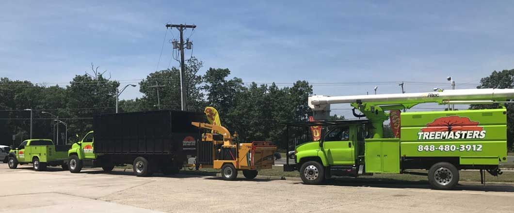 Certified arborists from Tree Masters LLC providing expert tree care services in Toms River & Brick,
