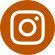 insta icoon