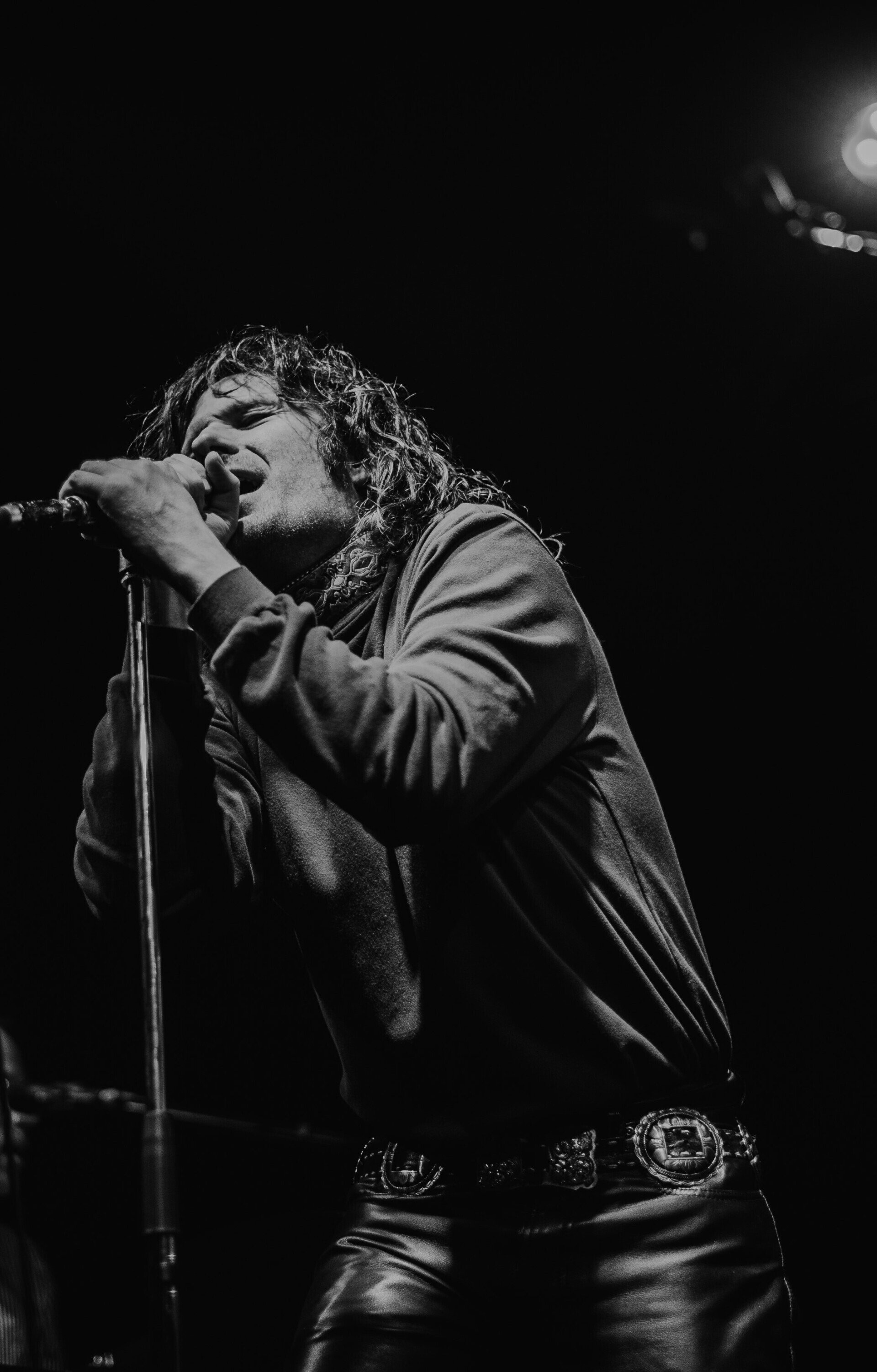 Stoned Immaculate The Doors Cover Tribute Band