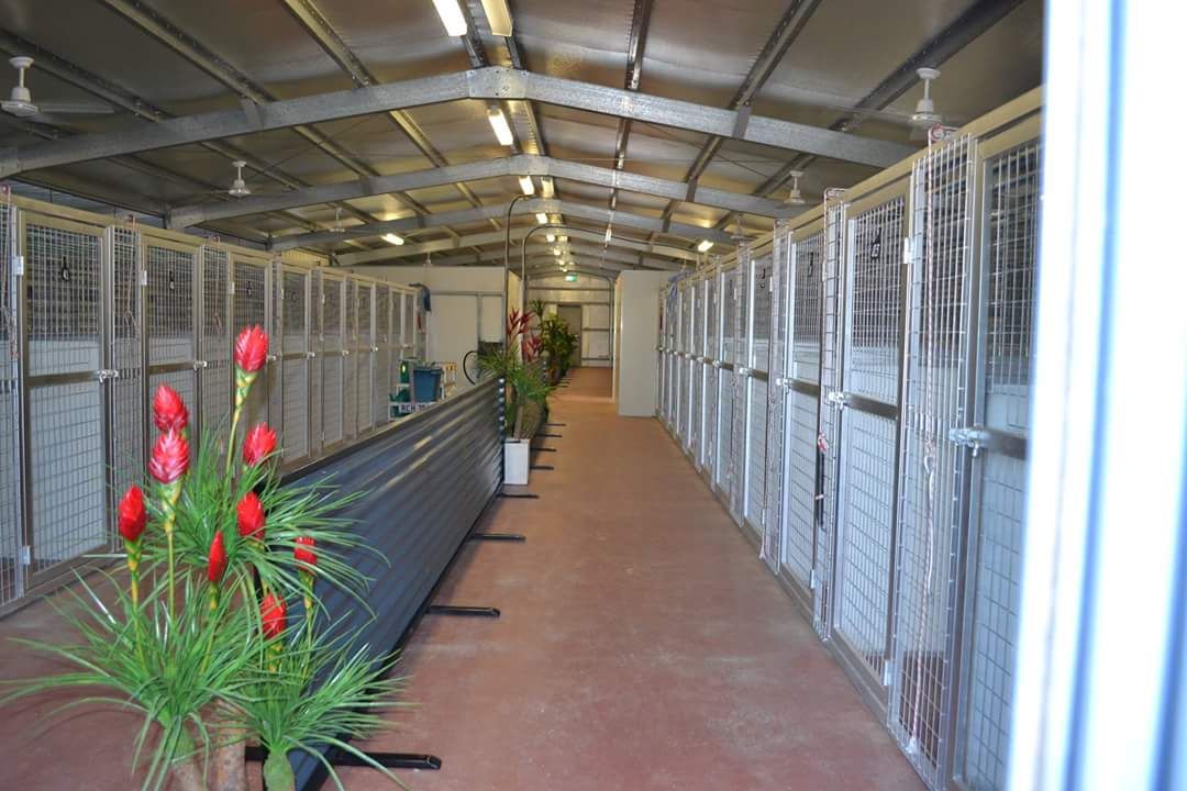 Long Corridor Lined With White Animal Cages — Country Comfort Pet Resort Pty Ltd in Machine Creek, QLD