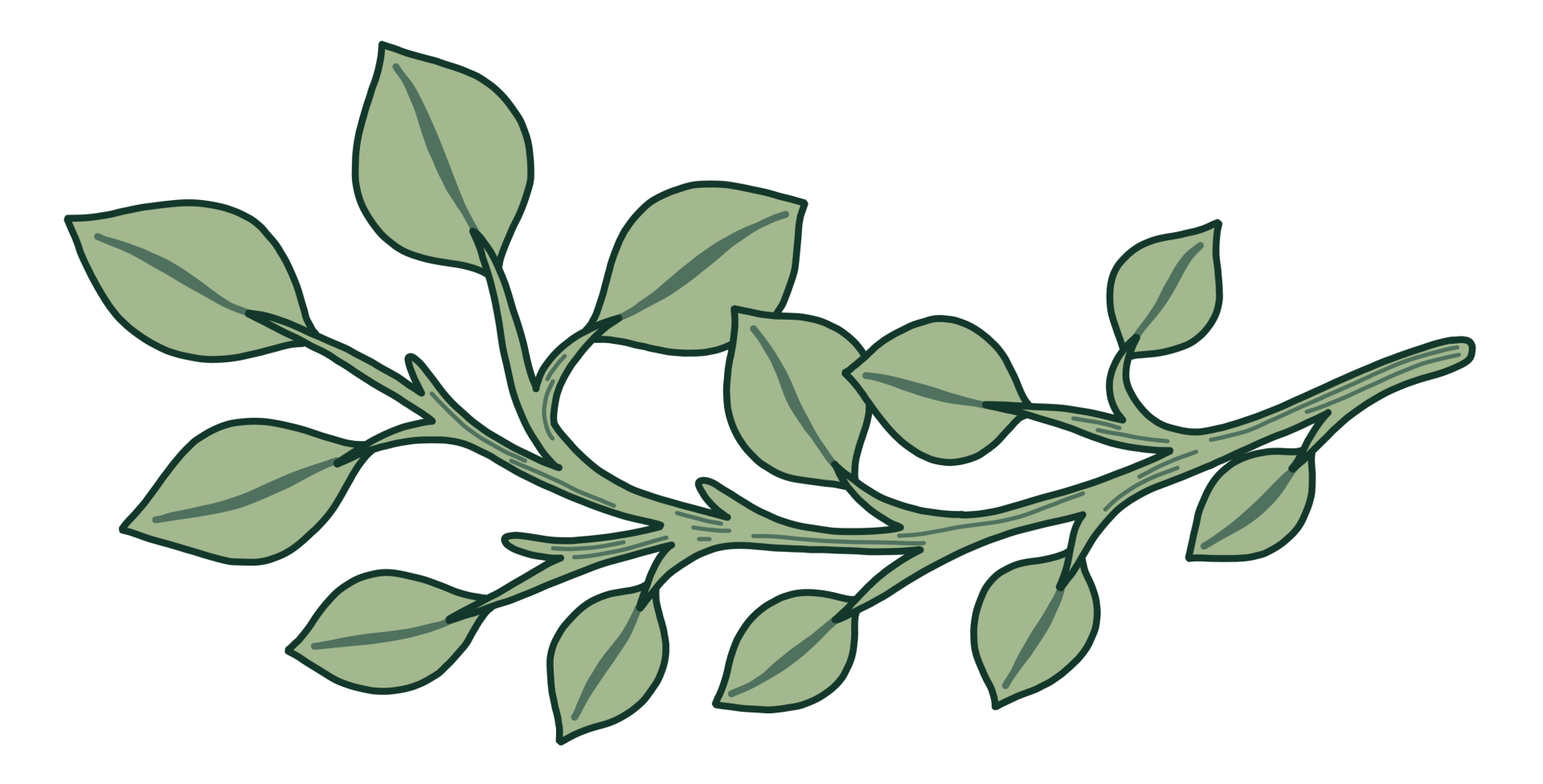 illustration of a green leafy branch