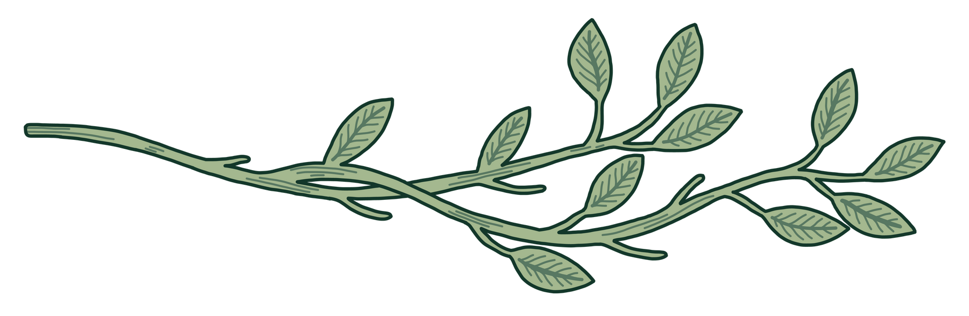 Leafy branch illustration