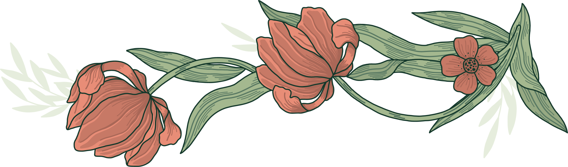 Leafy poppy illustration