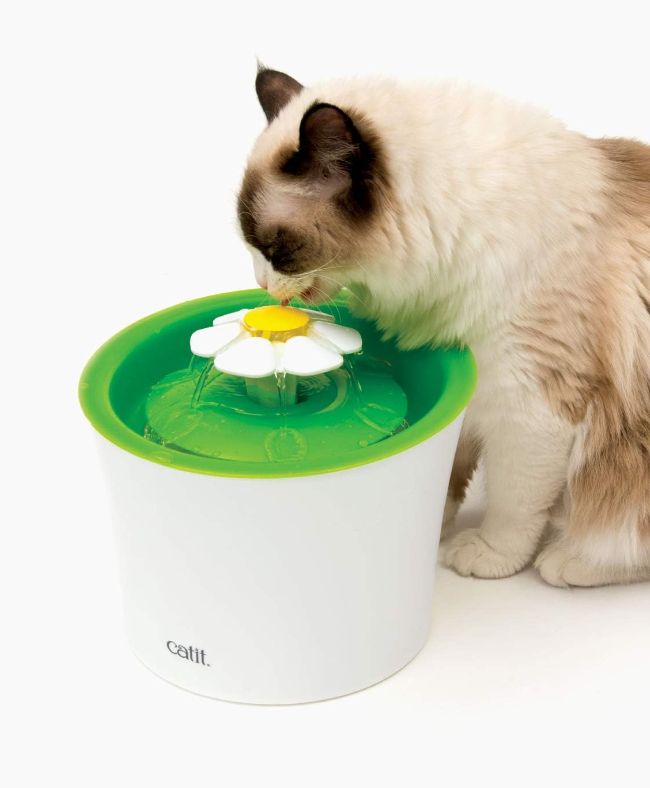 Catit LED Flower Fountain for cats