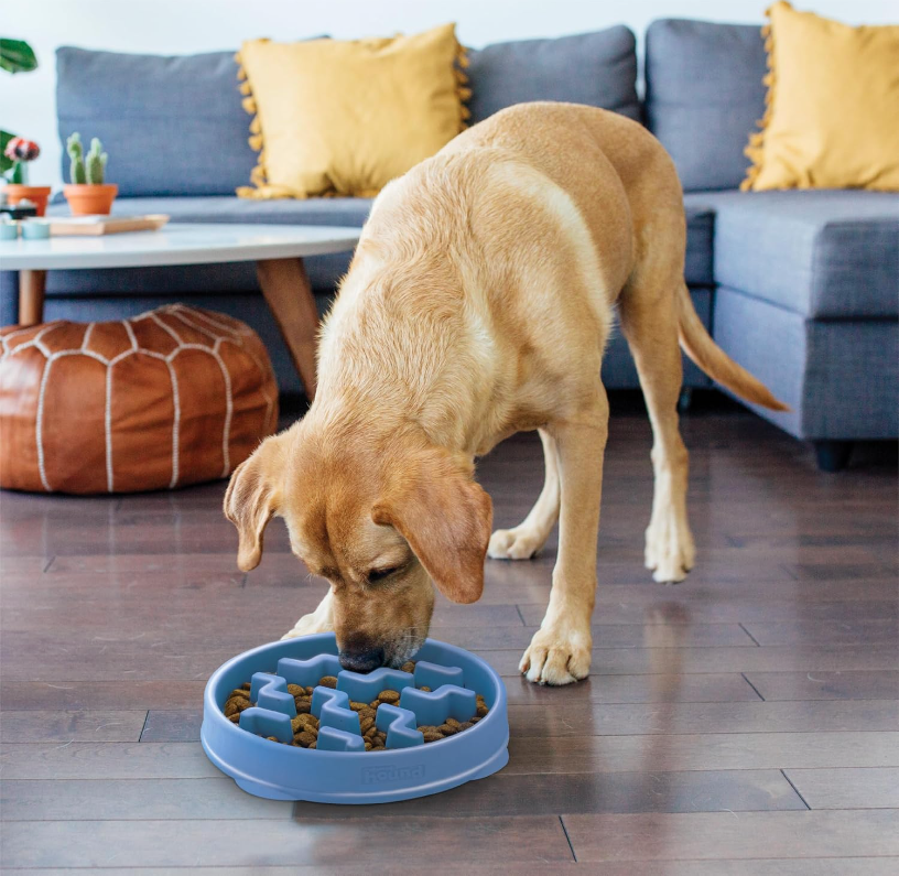 Slow Feeder Dog Bowl