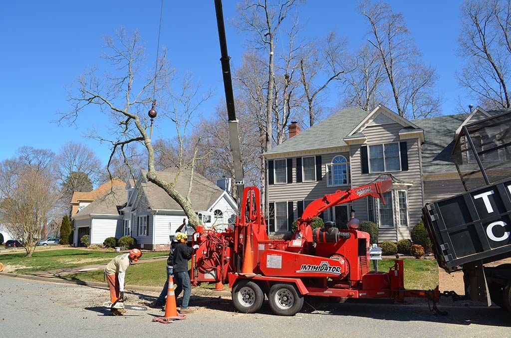 Roadside utility truck and workers repairing a downed tree in a suburban neighborhood