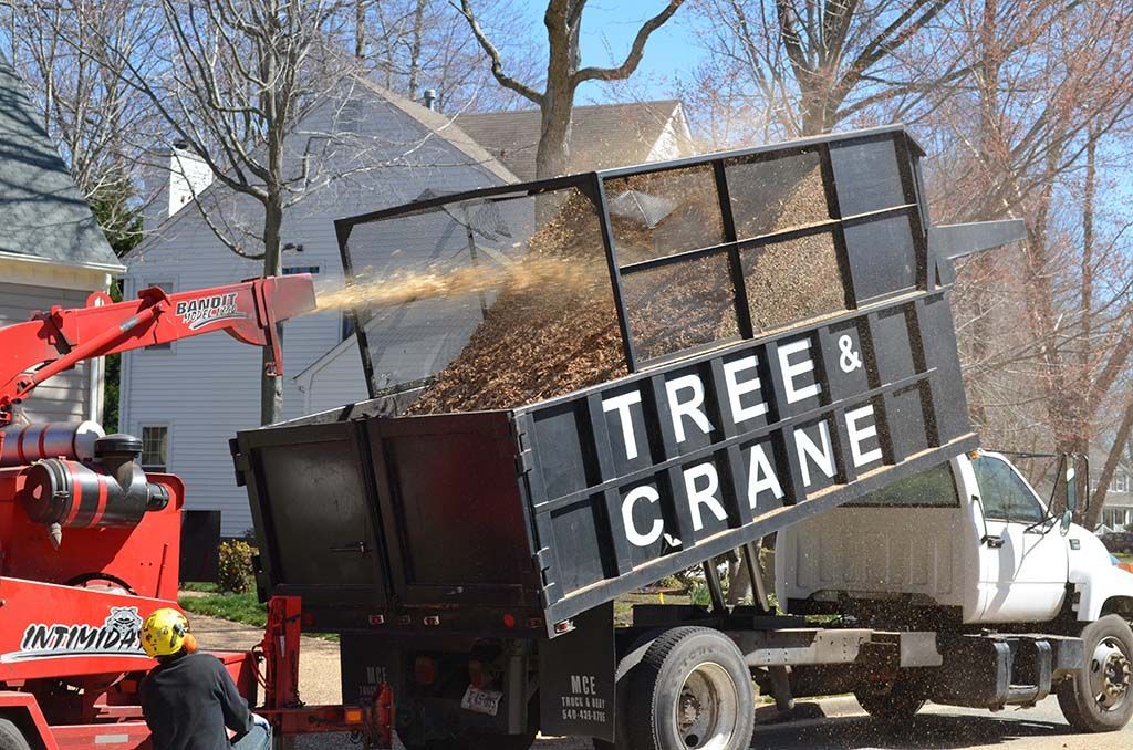 Tree-crane truck removing a large tree branch from a suburban yard