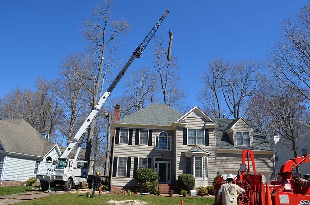 Crane lifting debris beside a suburban house with red construction equipment under a clear blue sky