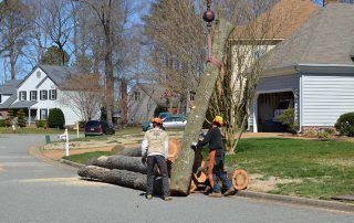 Two workers moving a large tree trunk in a suburban street near houses