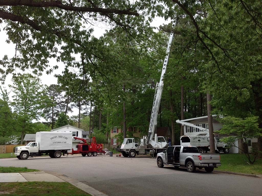 Utility trucks and a crane parked on a tree-lined residential street during work.