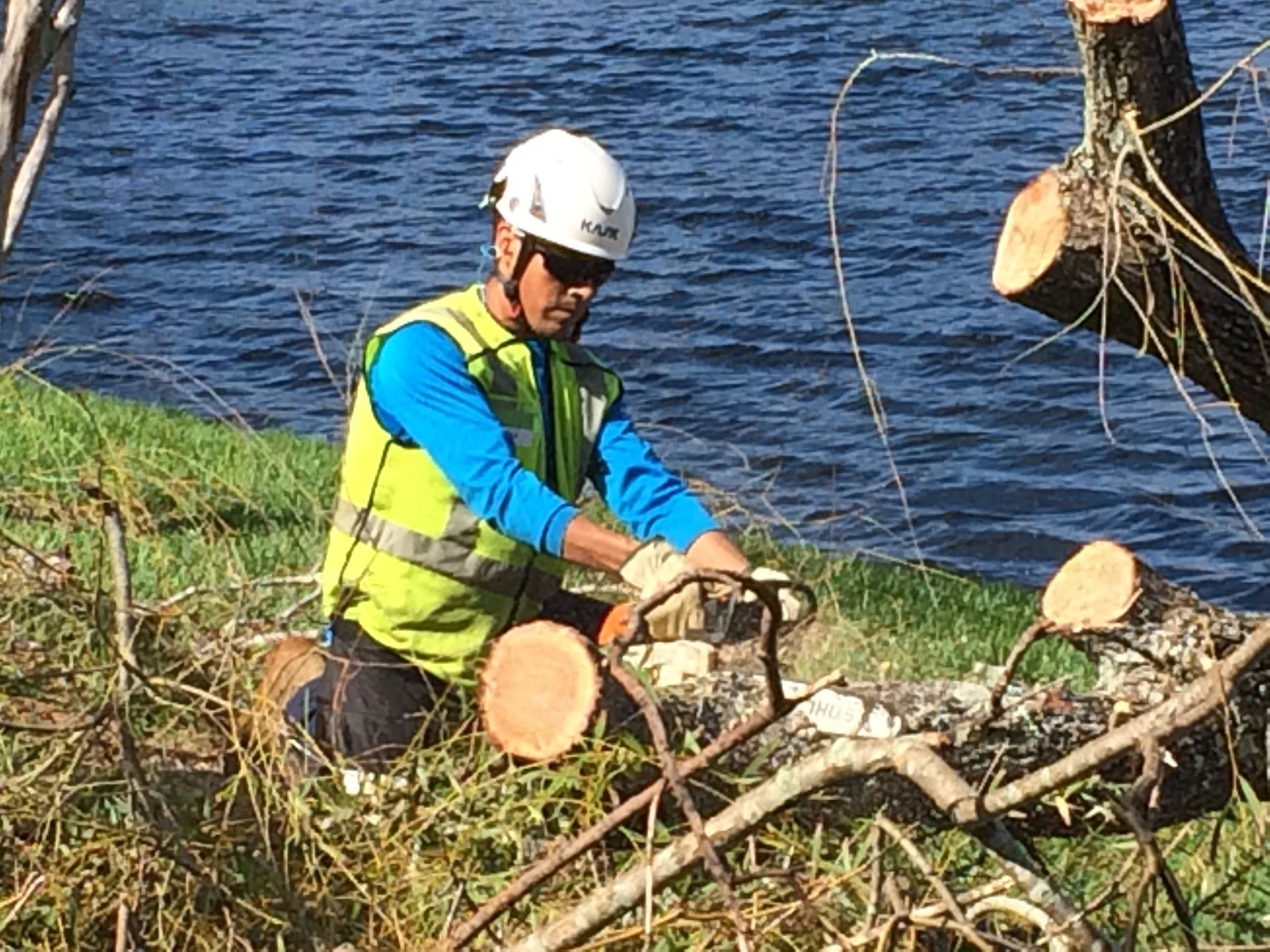 Worker in a hard hat and safety vest cutting fallen tree branches by a riverbank.