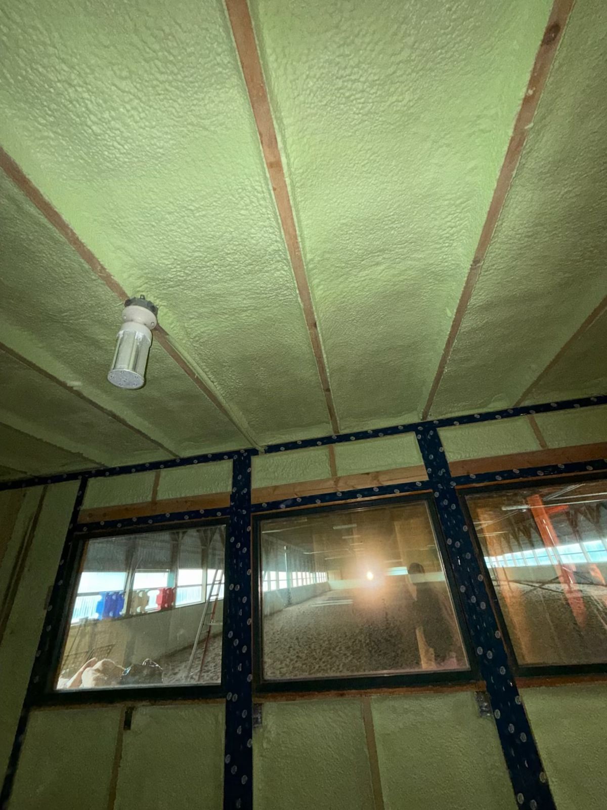 Interior ceiling with green insulation, exposed beams, and a hanging light fixture above windows.
