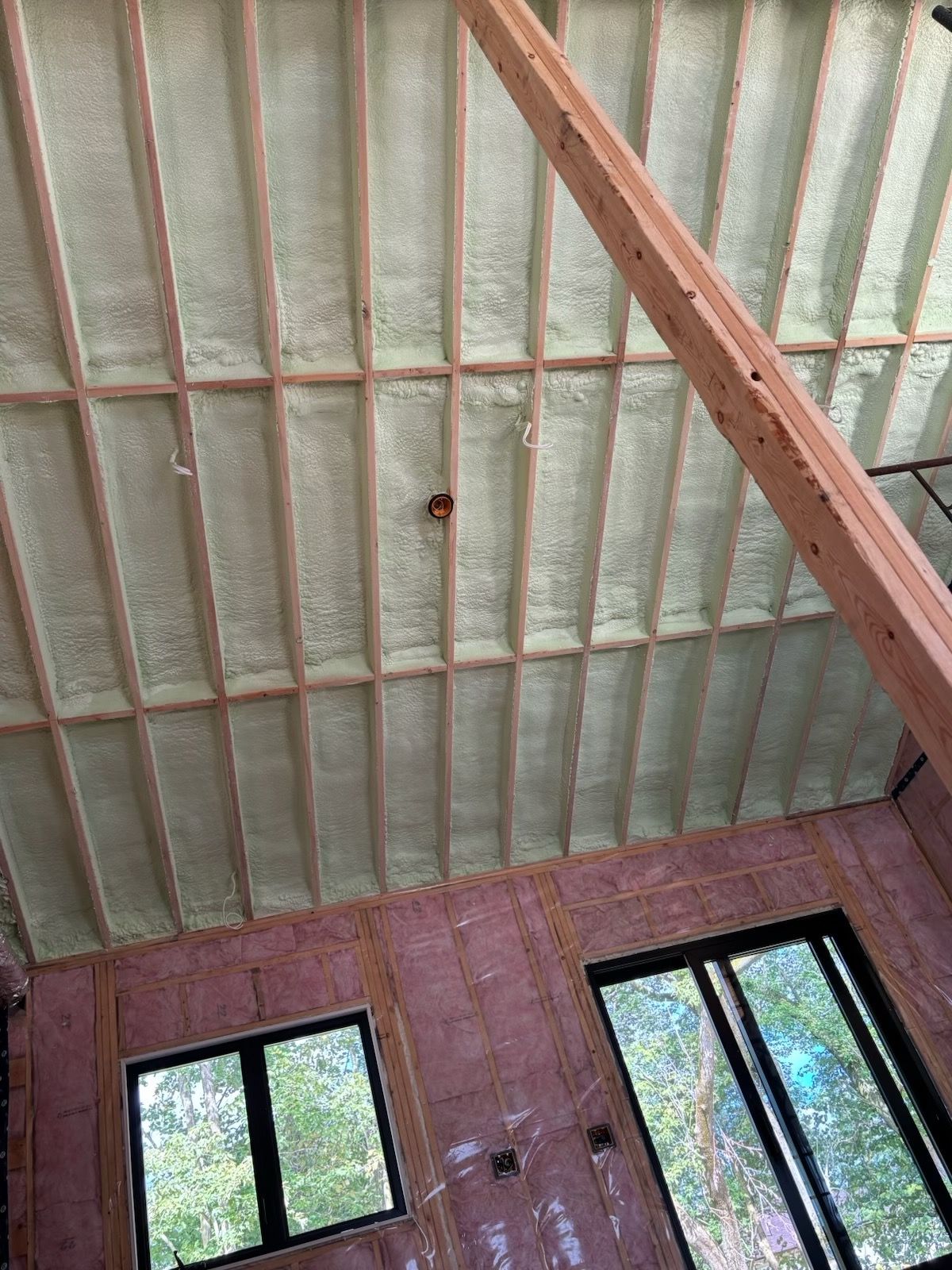 Interior with pink walls, high corrugated ceiling, and two windows showing trees outside