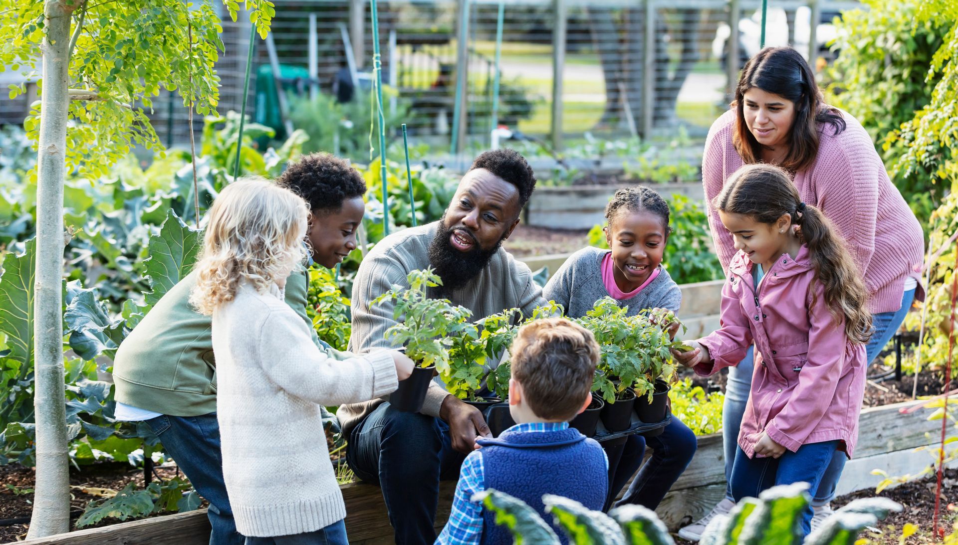 People gardening together in raised beds, smiling and working with plants outdoors