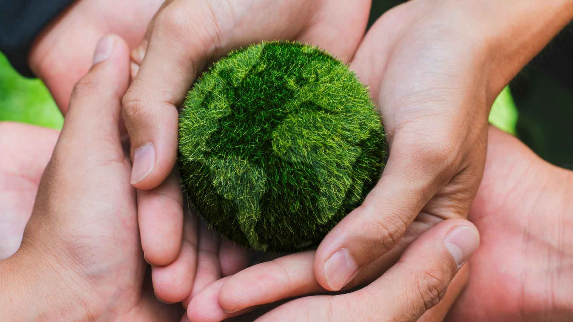 image of earth fuzzy ball