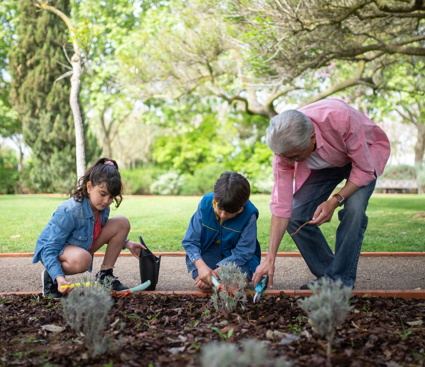 Three people planting flowers together in a park garden bed