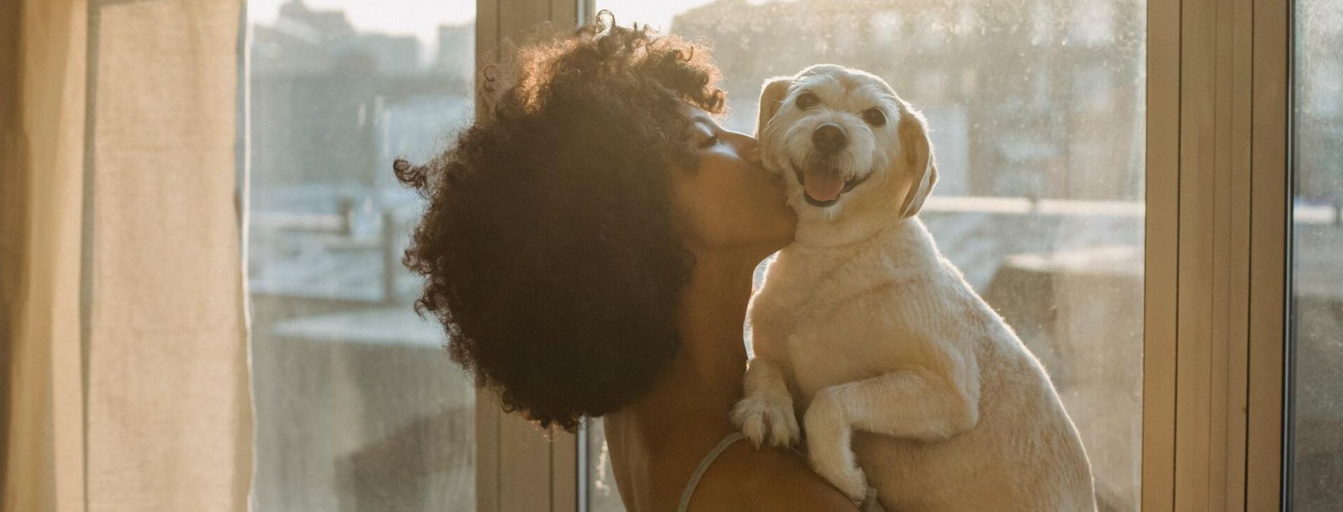 preventative dog care