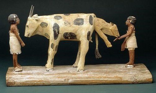 Statuette égyptienne montrant un vêlage, 2030-1640 av.J-C. Royal Ontario Museum, Toronto