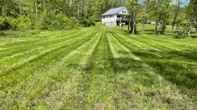 Freshly mowed green lawn leading to a small white house surrounded by trees on a sunny day