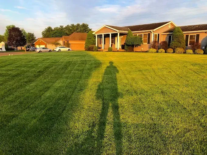 Sunlit suburban houses and lawn with a long human shadow in the foreground