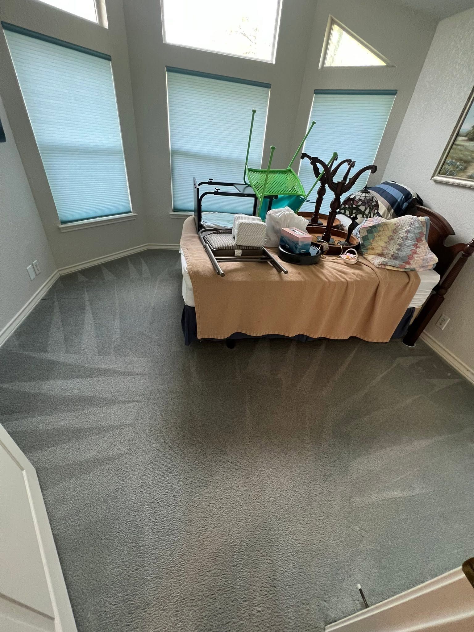 Small room with frosted windows and a table covered in assorted items and plants