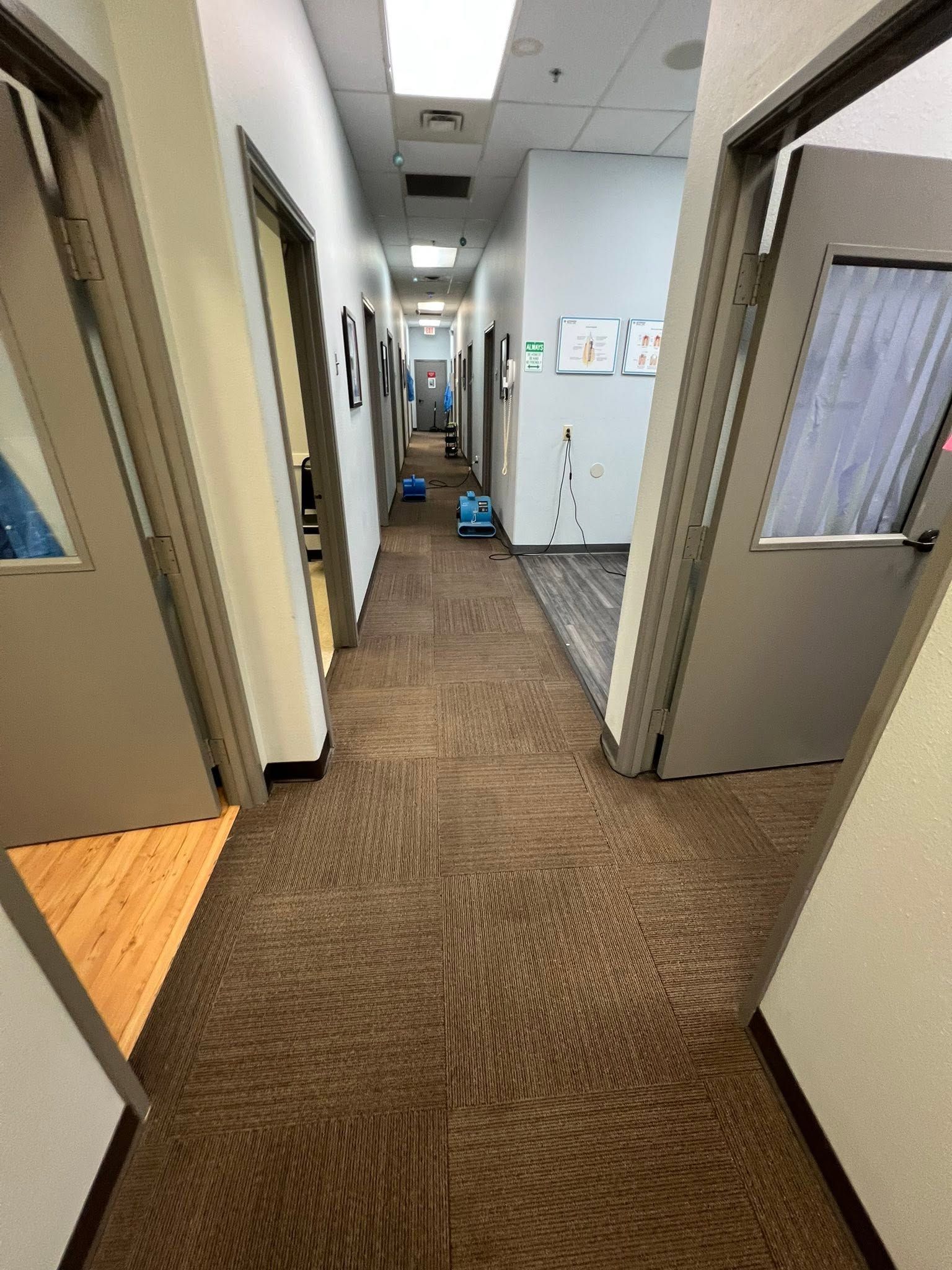 Narrow office hallway with carpet, open doors, and a blue object at the far end
