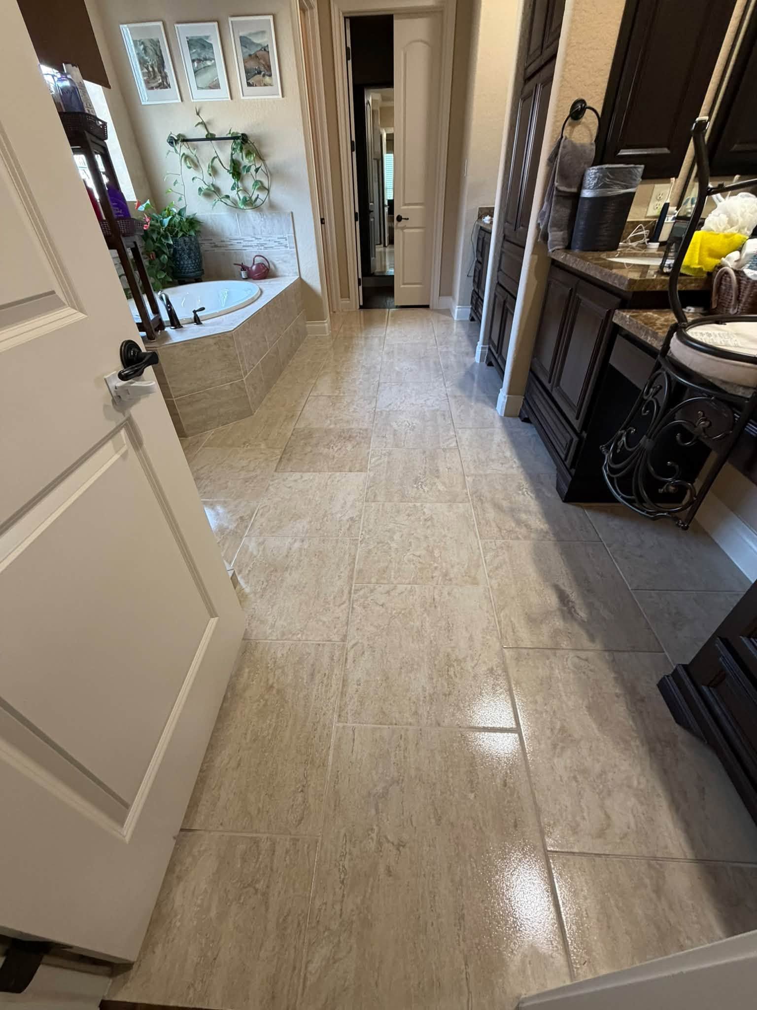 Carpeted hallway with white doors, mirrored furniture, and a small plant-filled nook at the far end.
