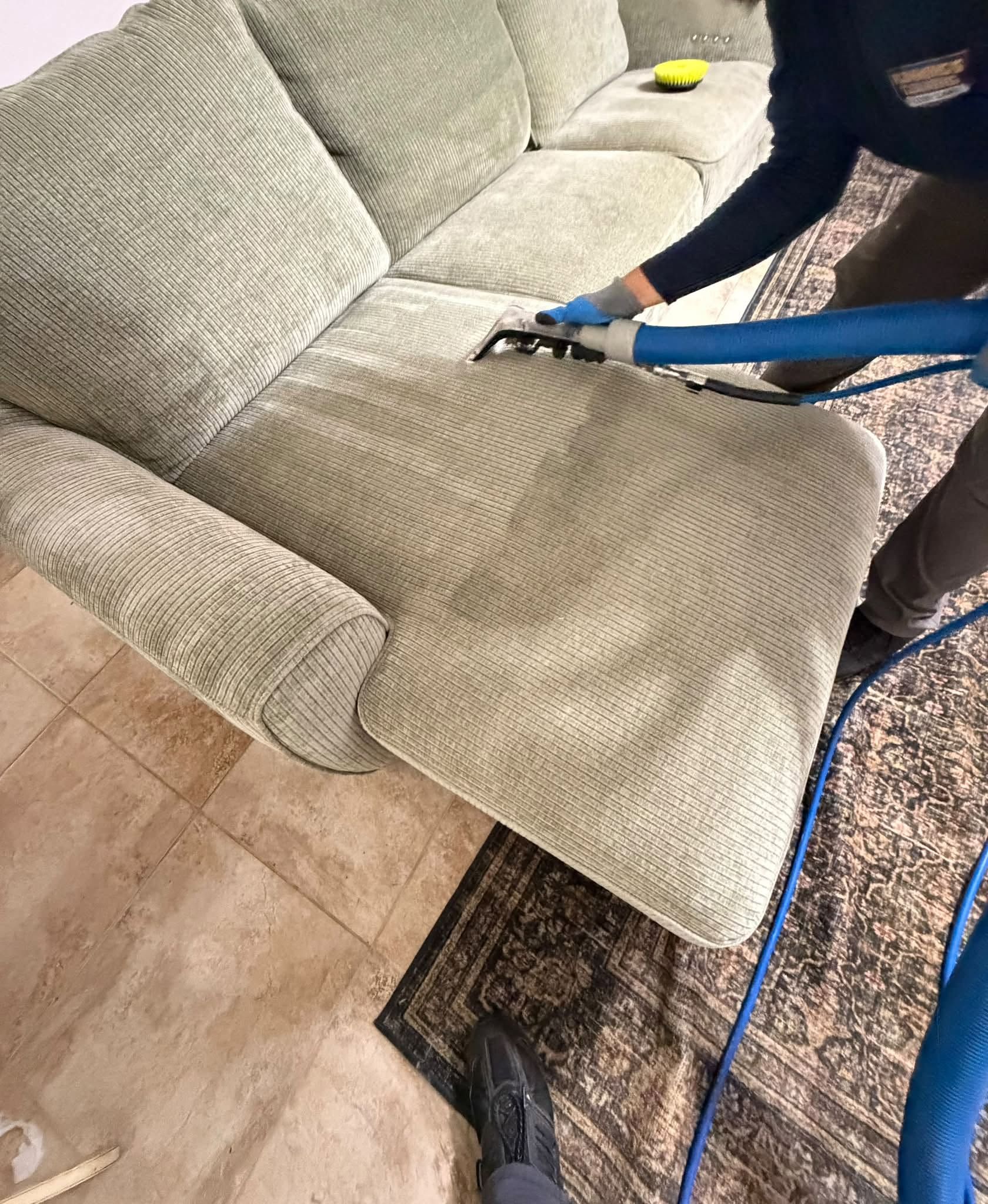 Person steam-cleans a light gray sofa in a living room with a blue upholstery wand.