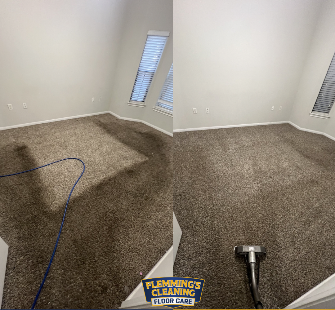 Carpet cleaning in an empty room, with a vacuum hose and freshly cleaned carpet visible.