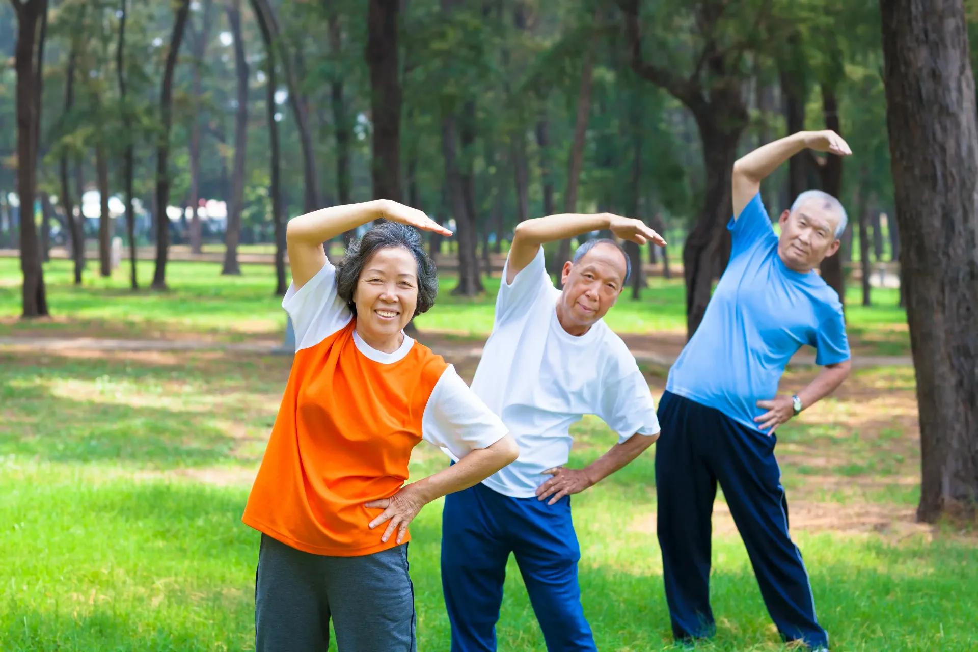 Diverse Medicare age group of people doing yoga in the park