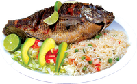 Fried fish with rice, avocado, and lime on a white plate.