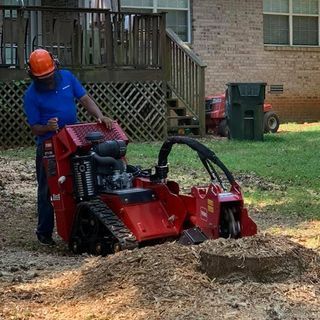 A man is using a machine to remove a tree stump.