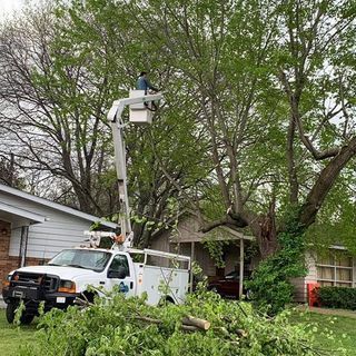 A man in a bucket truck is cutting a tree.