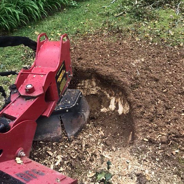 A stump grinder is cutting a tree stump in the ground.
