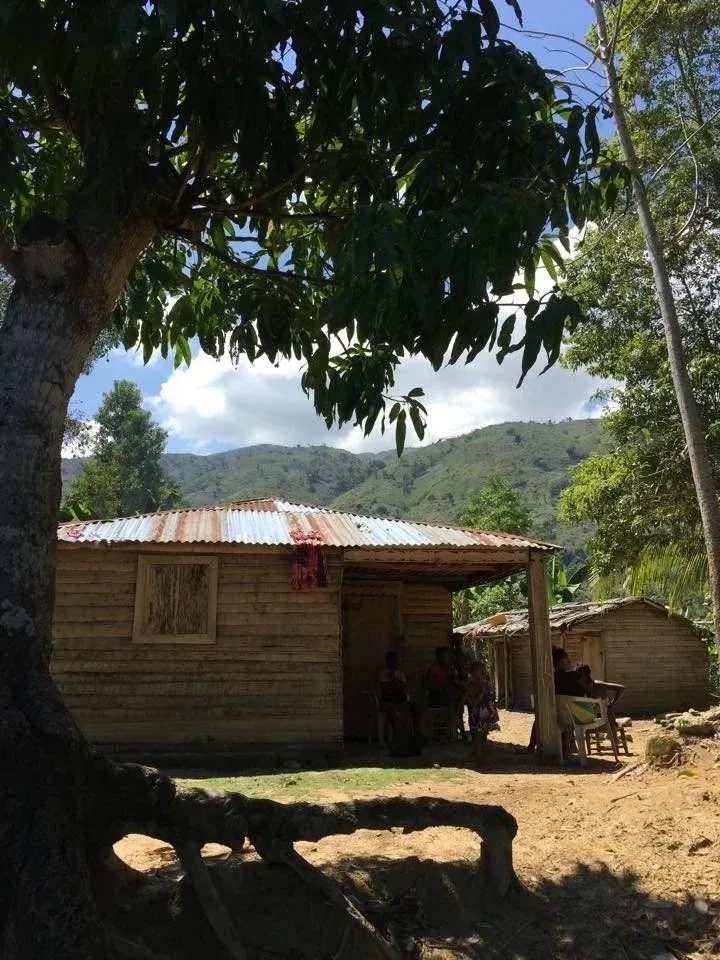 Rustic wooden house with tin roof under trees, with mountains in the background and a person standing by the porch