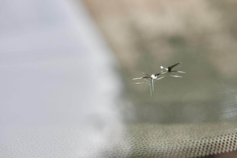 Chipped Windshield Chipped Windshield
