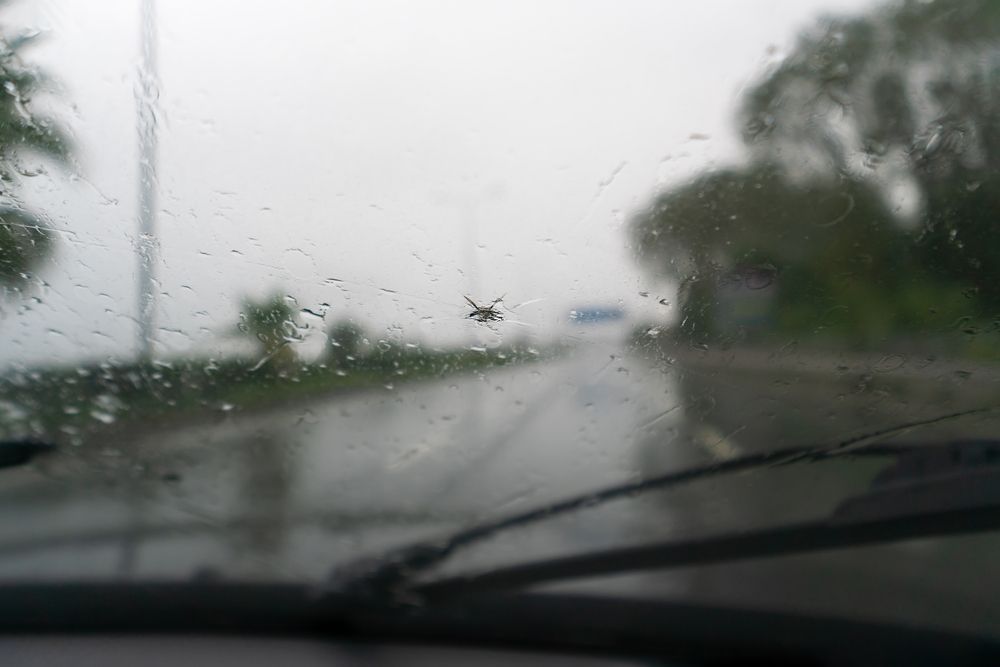 Cracked windshield