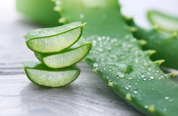 Aloe gel