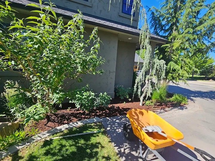 Yellow wheelbarrow with mulch next to a house with landscaping, bright sunlight.