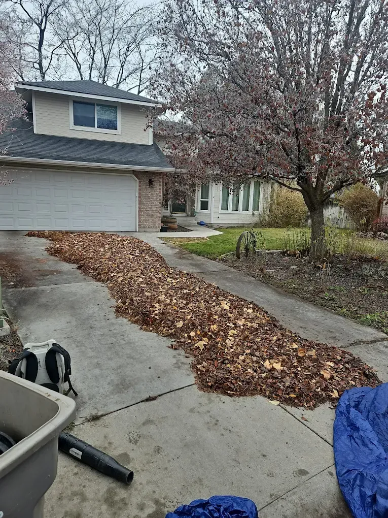 Driveway covered in fall leaves in front of a house, leaf blower and tarp visible.