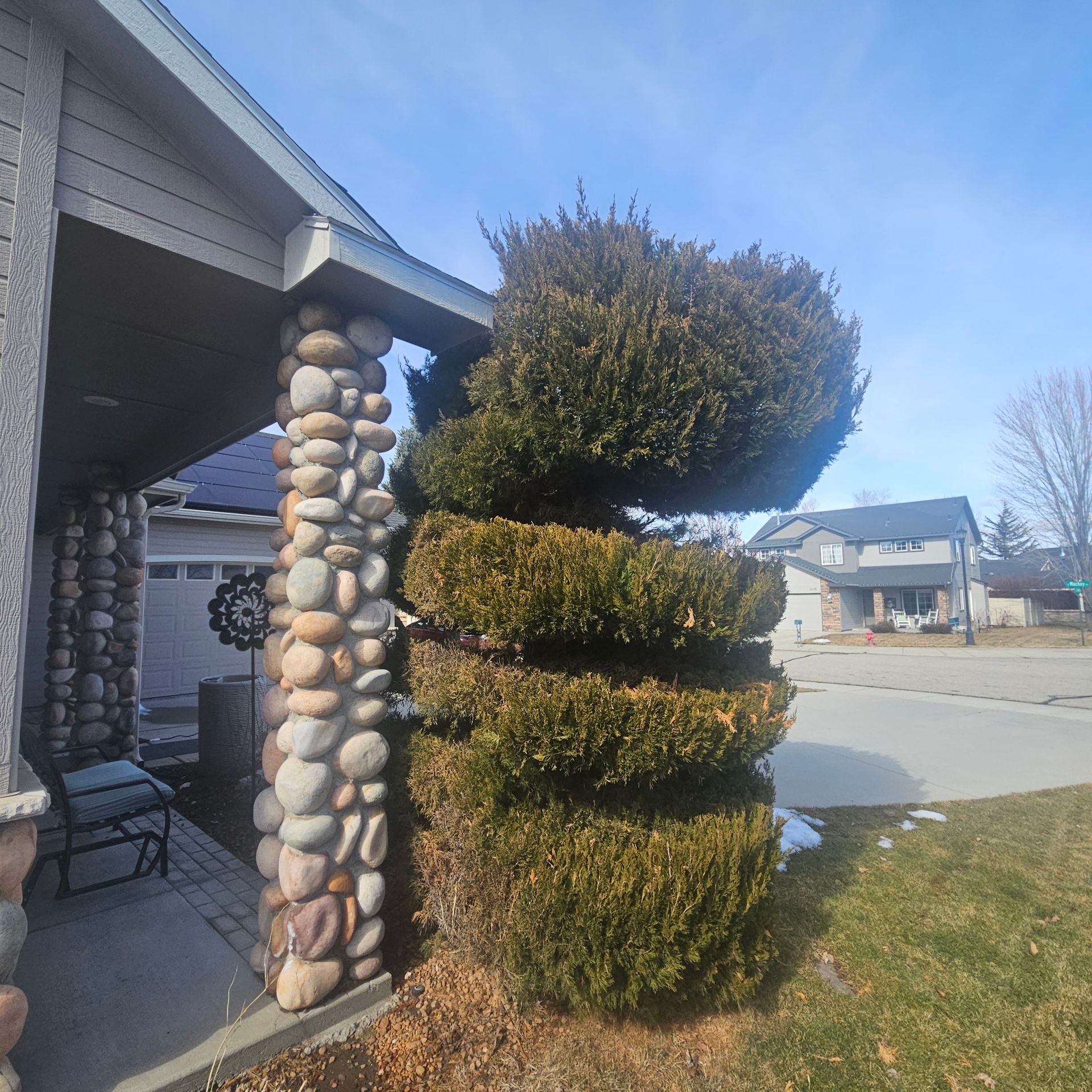 Spiral-shaped evergreen shrub next to a porch with a stone-covered pillar. A house and street are in the background.