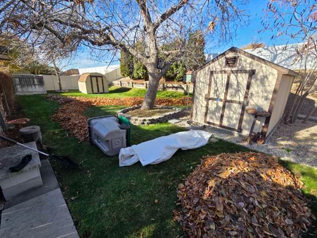 Backyard with a tree, shed, and piles of fallen leaves, suggesting autumn yard work.