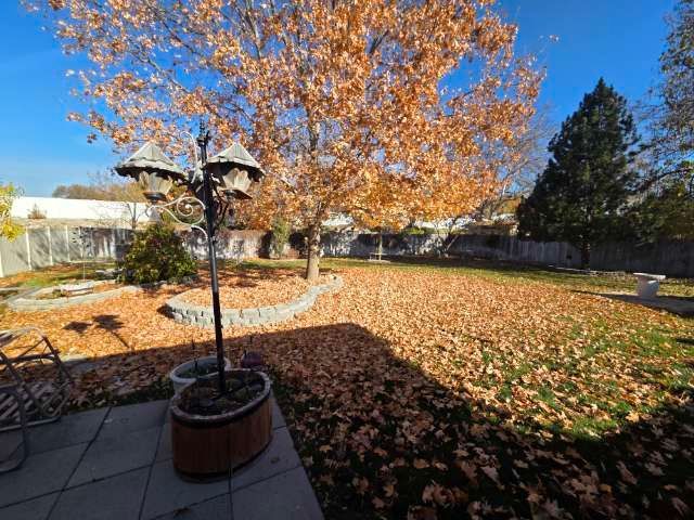 Backyard covered in autumn leaves with bird feeders, a large tree, and a blue sky.