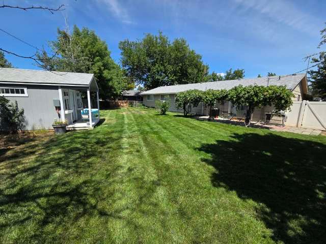 A well-manicured green backyard with a house, shed, and grape vines under a blue sky.