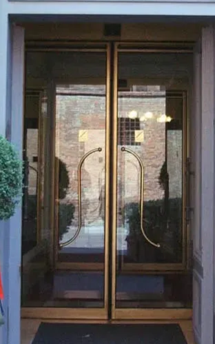 Doppie porte a vetri con maniglie dorate all'ingresso di un edificio, incorniciate da profili scuri e arbusti.