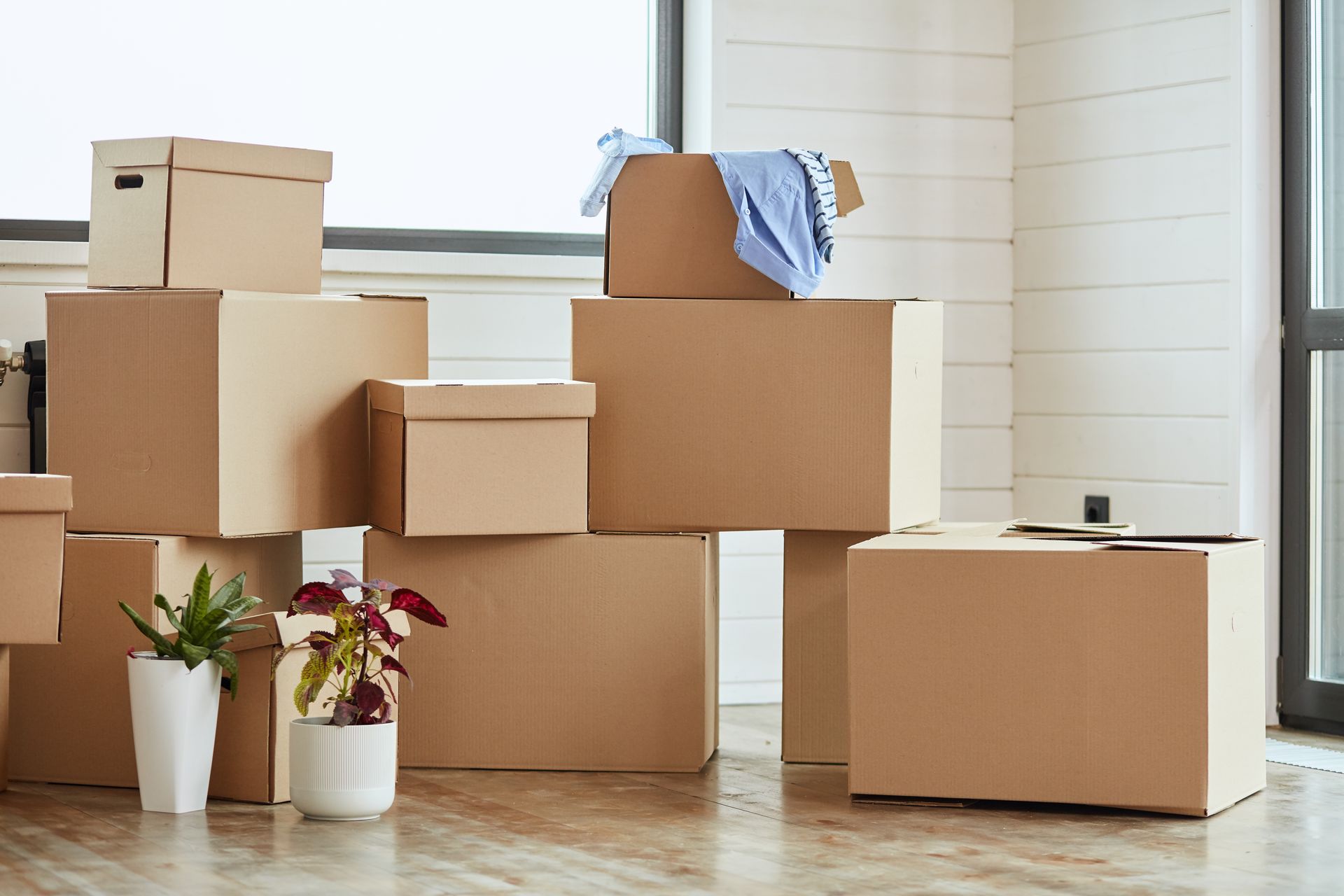 Cardboard boxes stacked for moving, plants sit nearby in white pots, window in background.