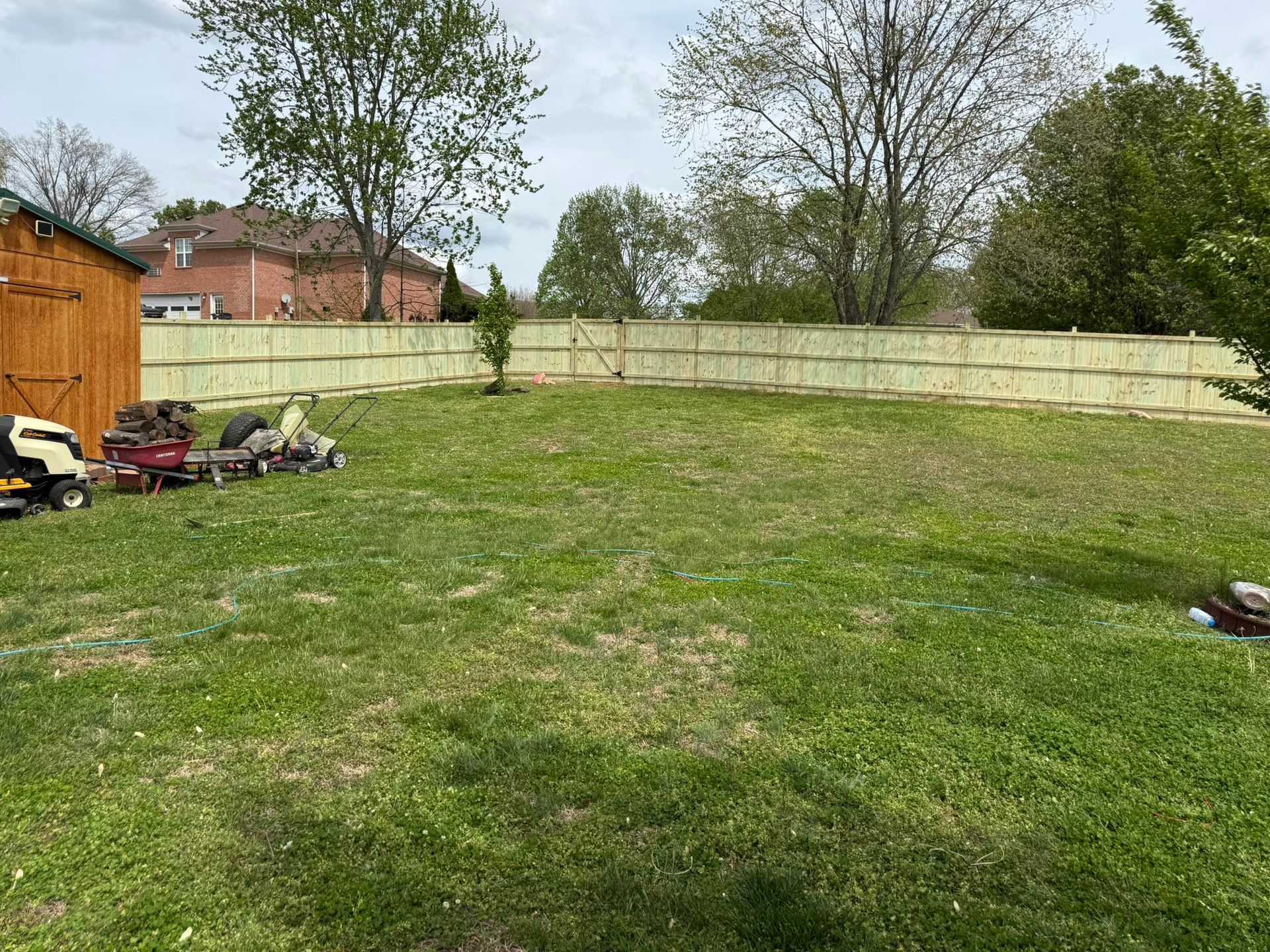 Large grassy backyard with a wooden fence, trees, and a shed on the left.