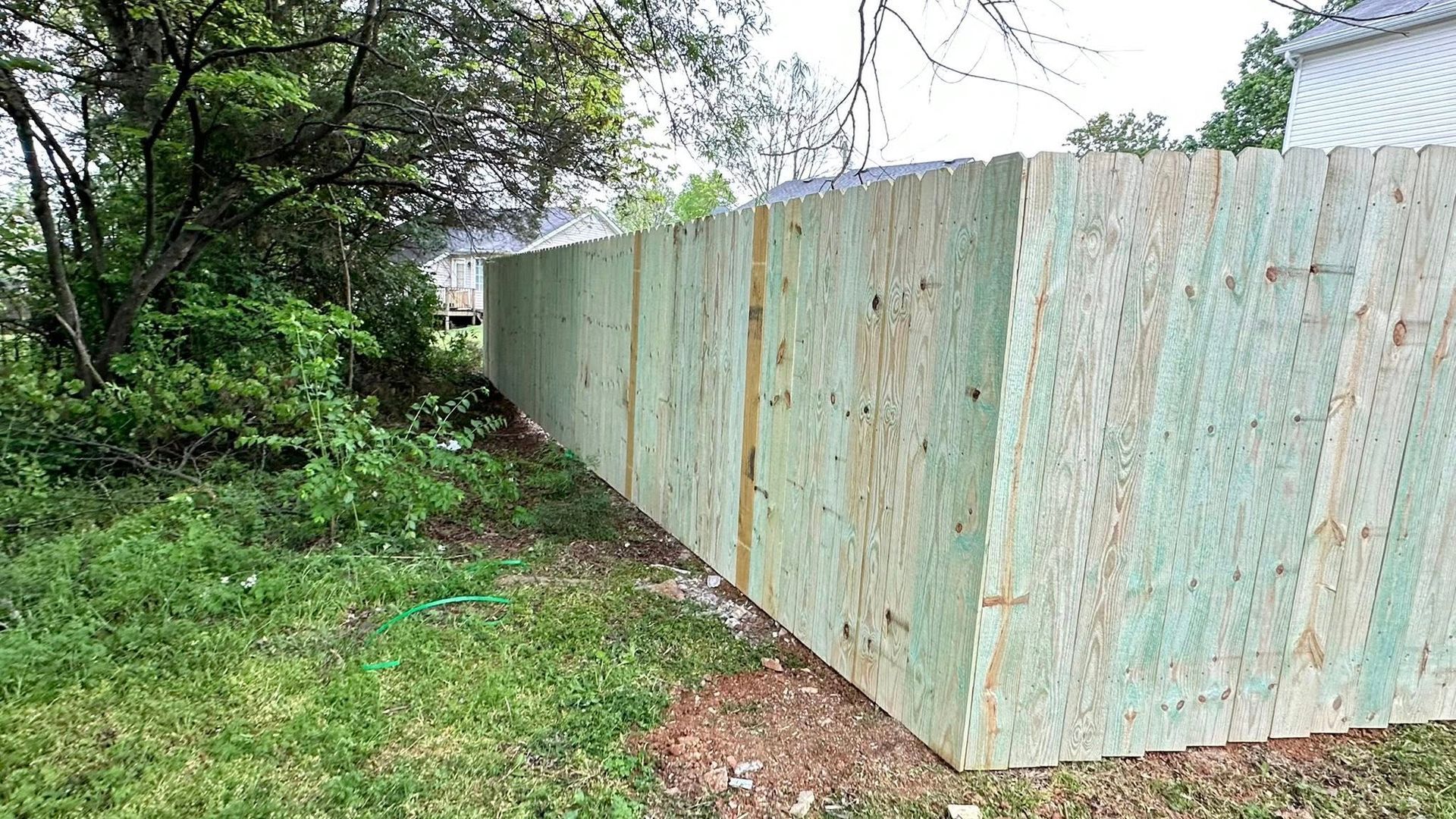 Weathered metal fence beside dense greenery and a muddy path outdoors